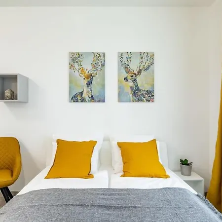 Brand New With Balcony Appartamento